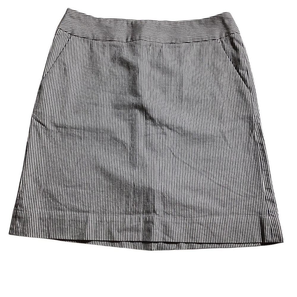 Talbots Women's Size 8 Blue & White Pinstripe A-Line Mini Skirt